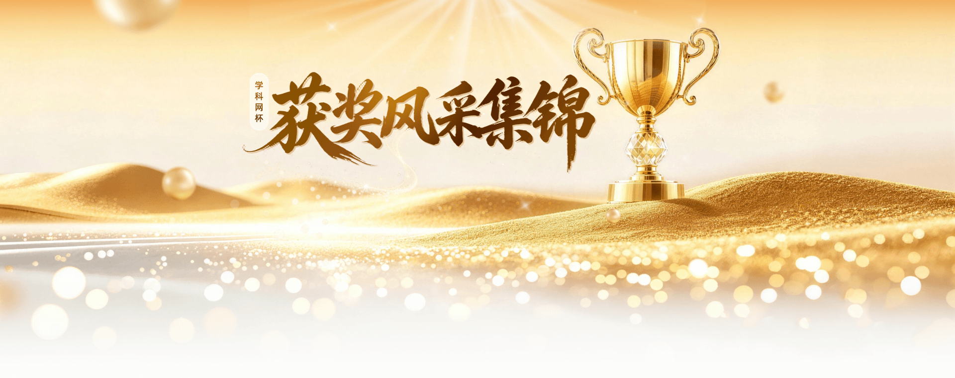 获奖风采