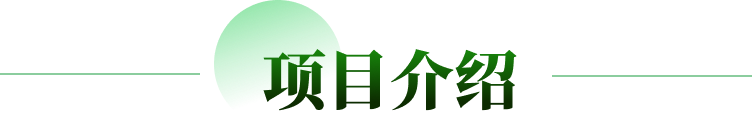 项目介绍