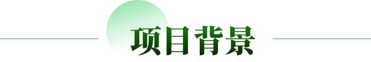 项目背景