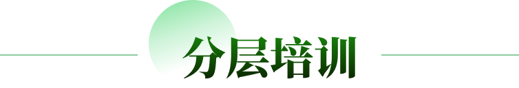 分层培训
